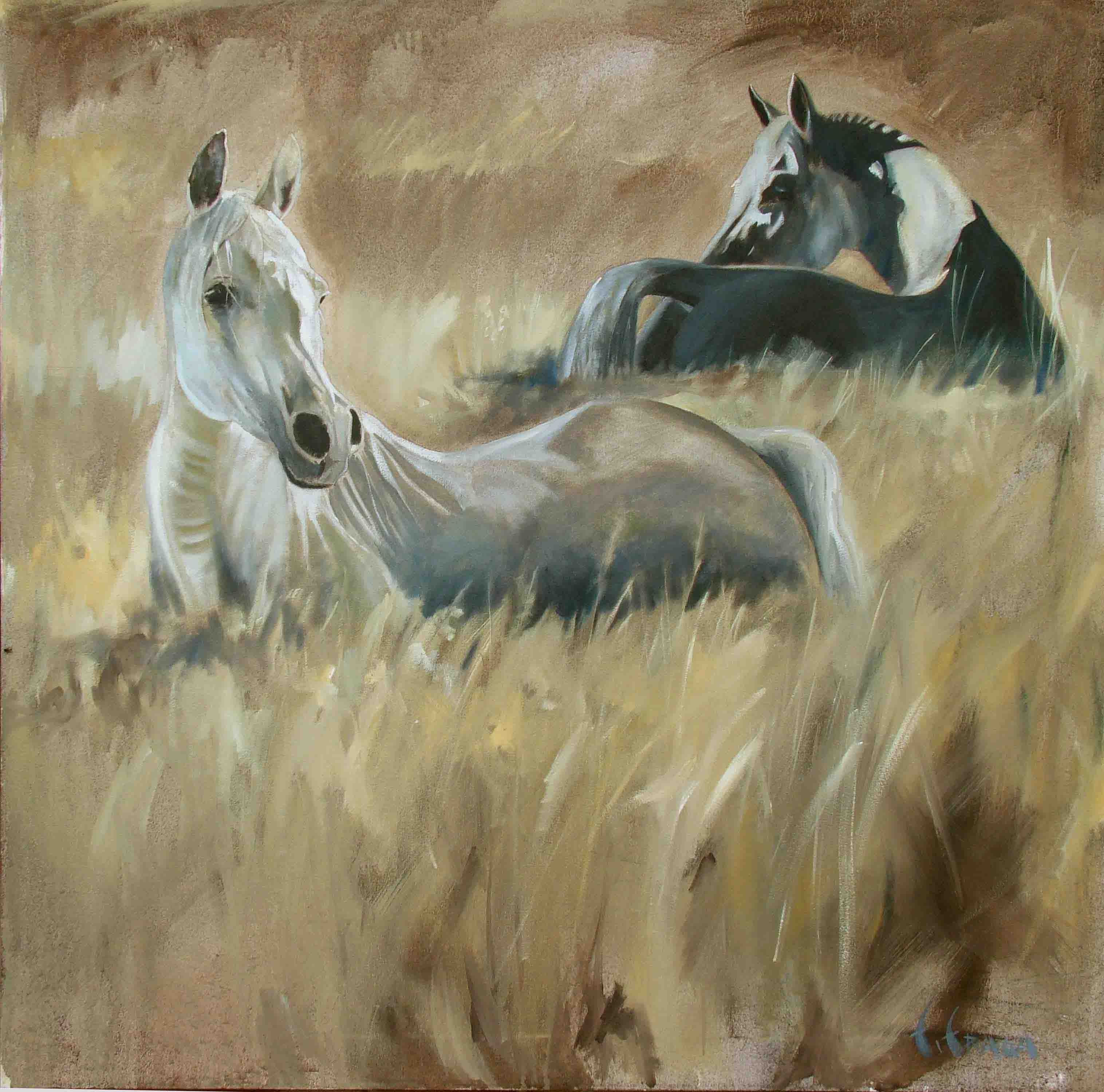 Fernando Fraga