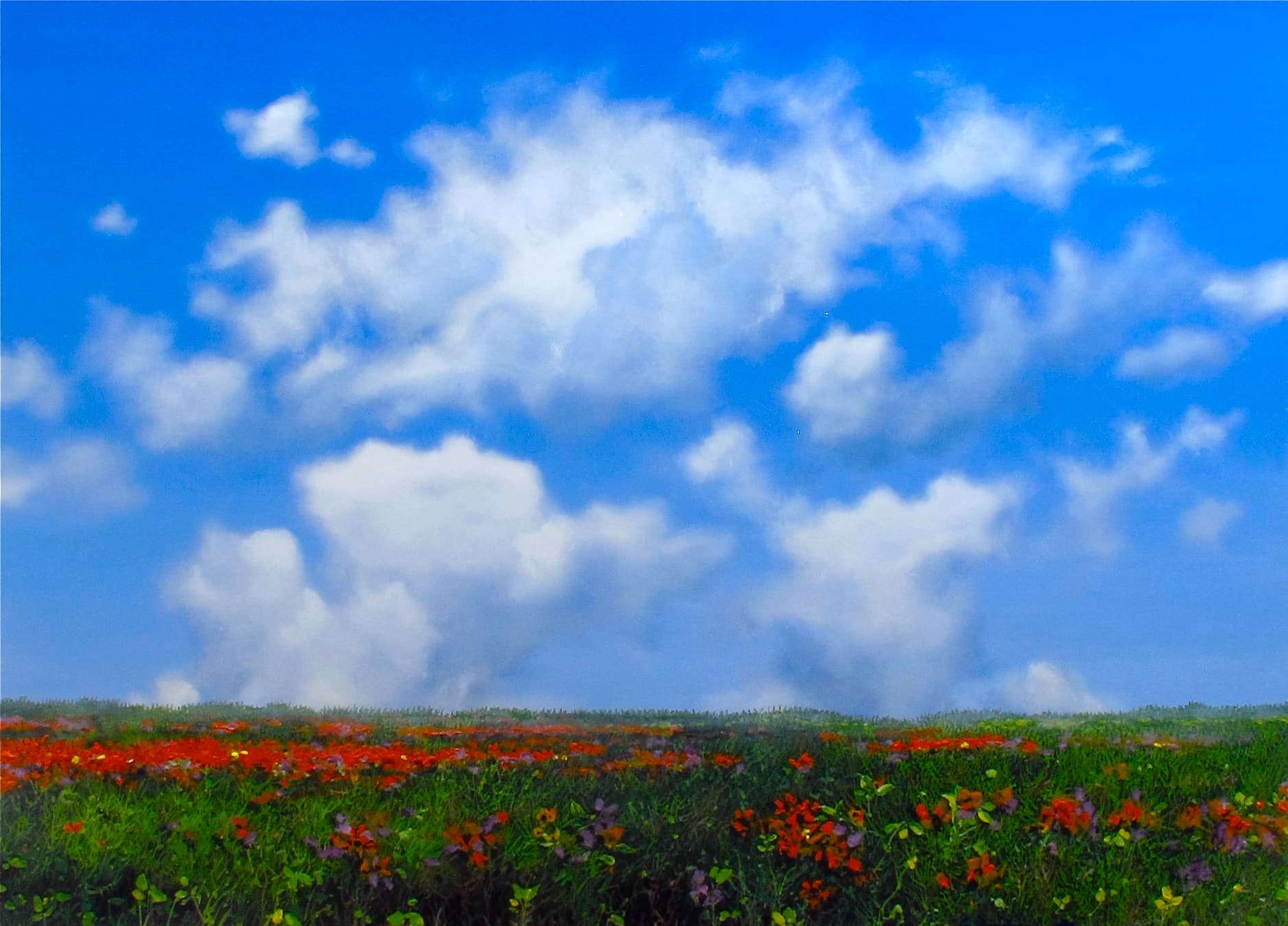 Wild Flowers by Enrique Sánchez M.