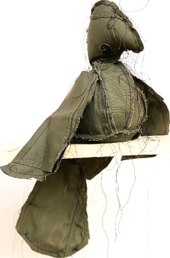 Pumpkin Seed for the Parrot to Talk or Be Quiet by Margarita Cabrera