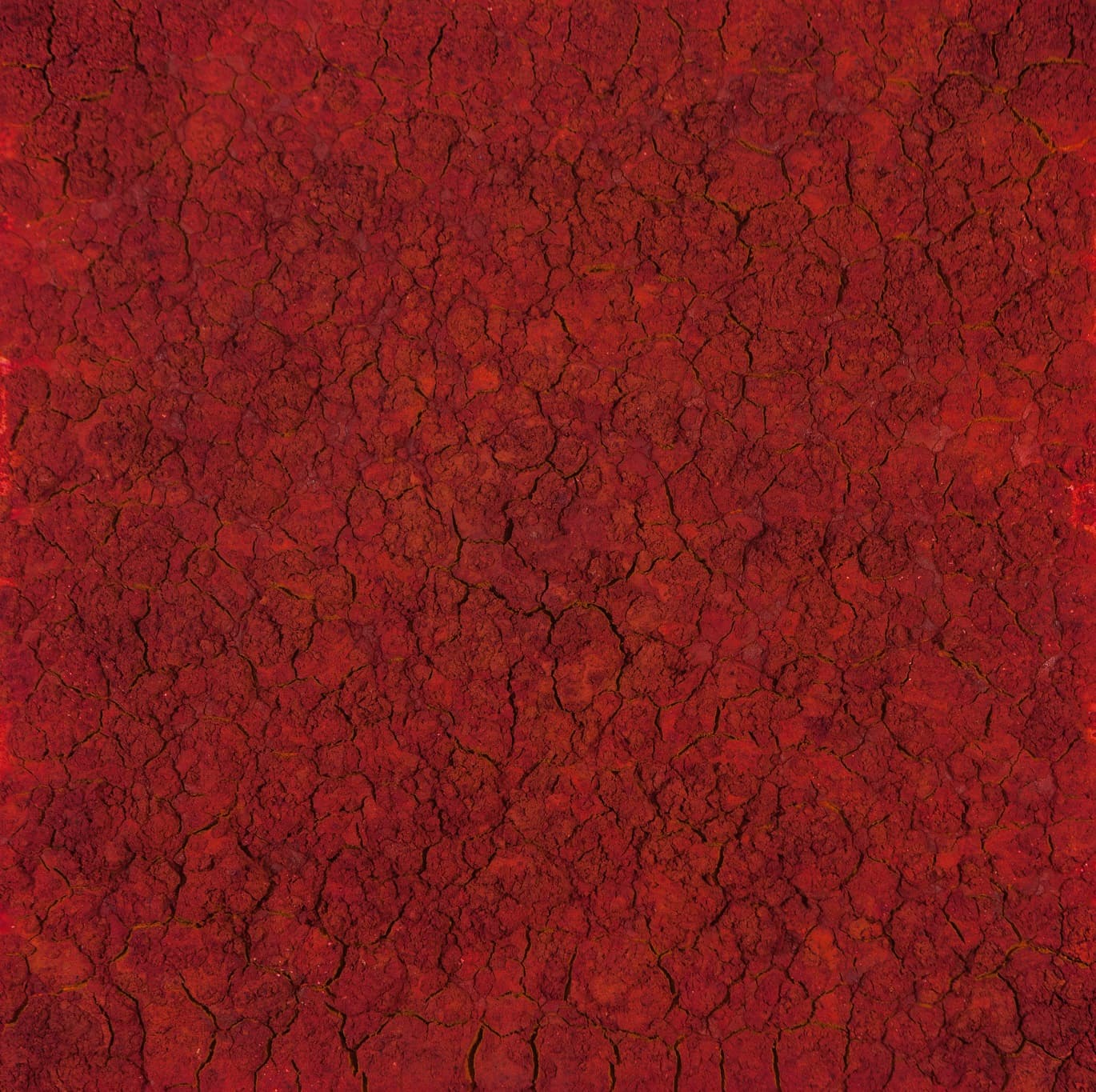 Cuadrado rojo by Bosco Sodi