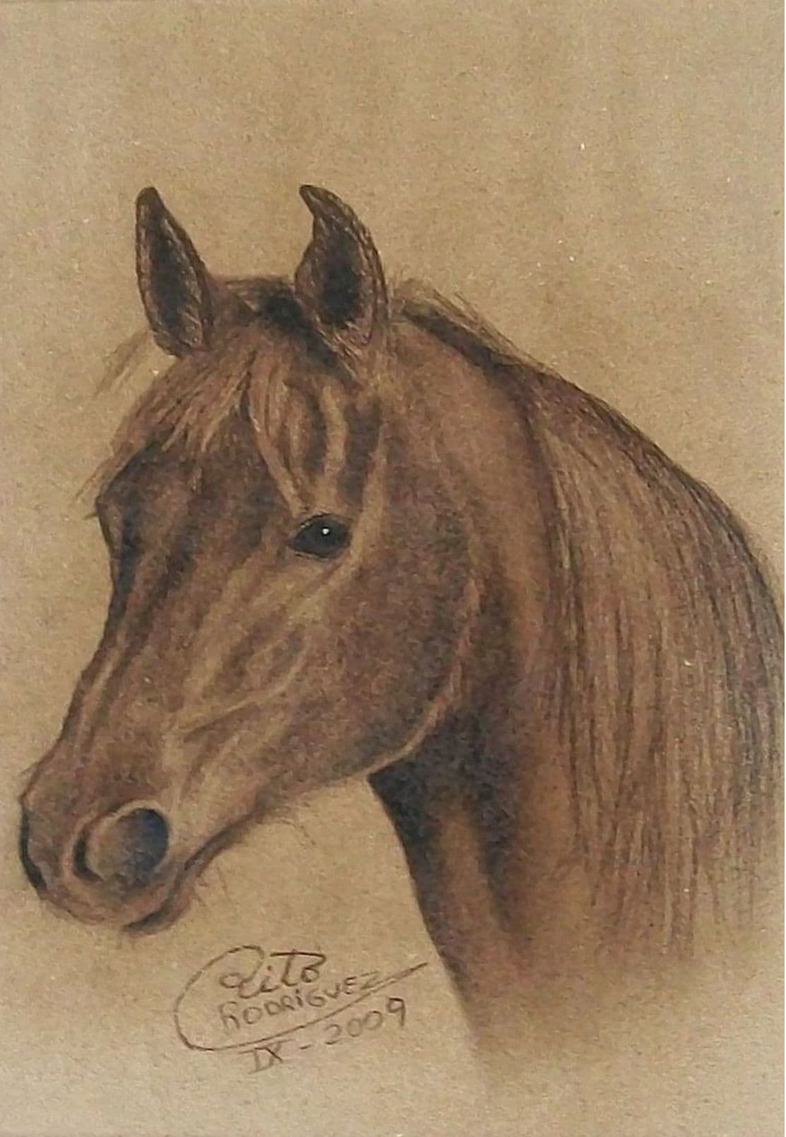 Caballo Sepia by Rito Ramon Rodríguez Da Costa