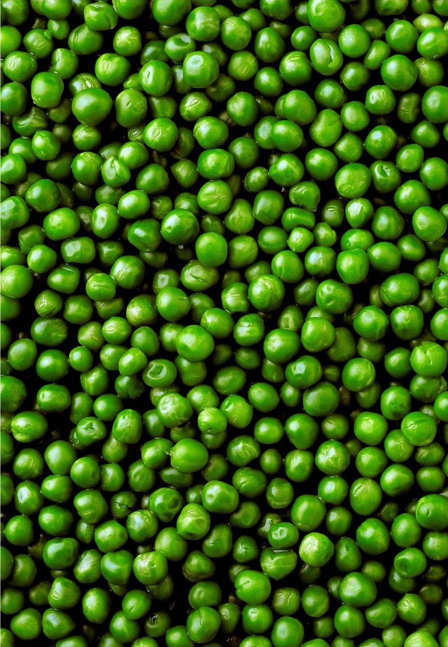 Peas by Chuck Ramírez, Pigment inkjet print