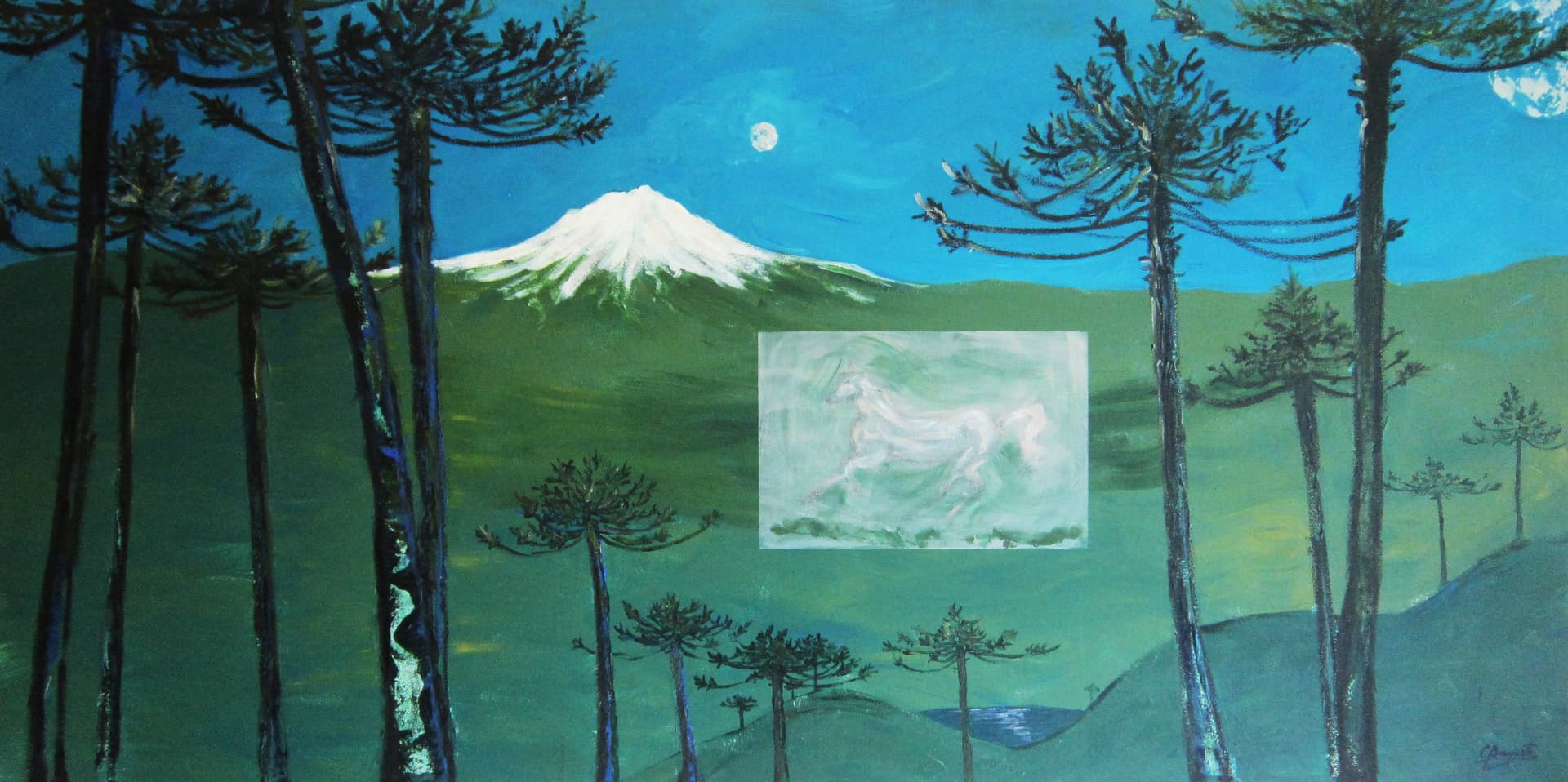 Caballo de Arauco / Horse from Arauco by Carolina Busquets