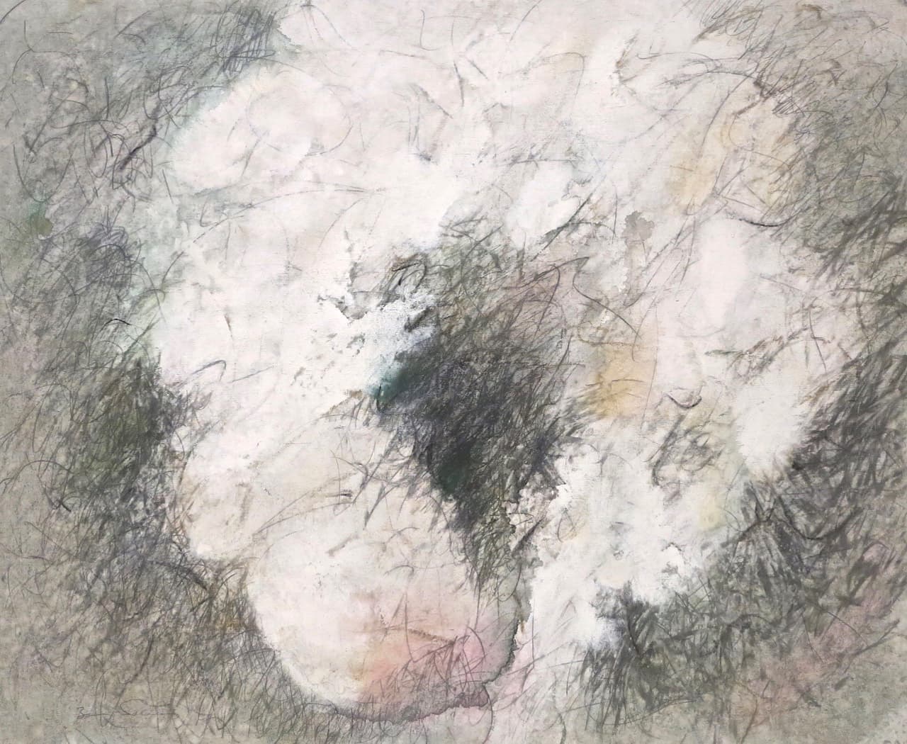 Cloud images II by Baruj Salinas