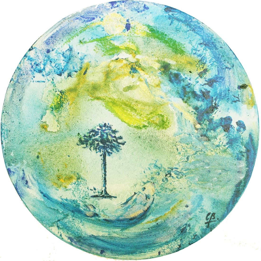 Araucaria Azul / Blue Araucaria by Carolina Busquets