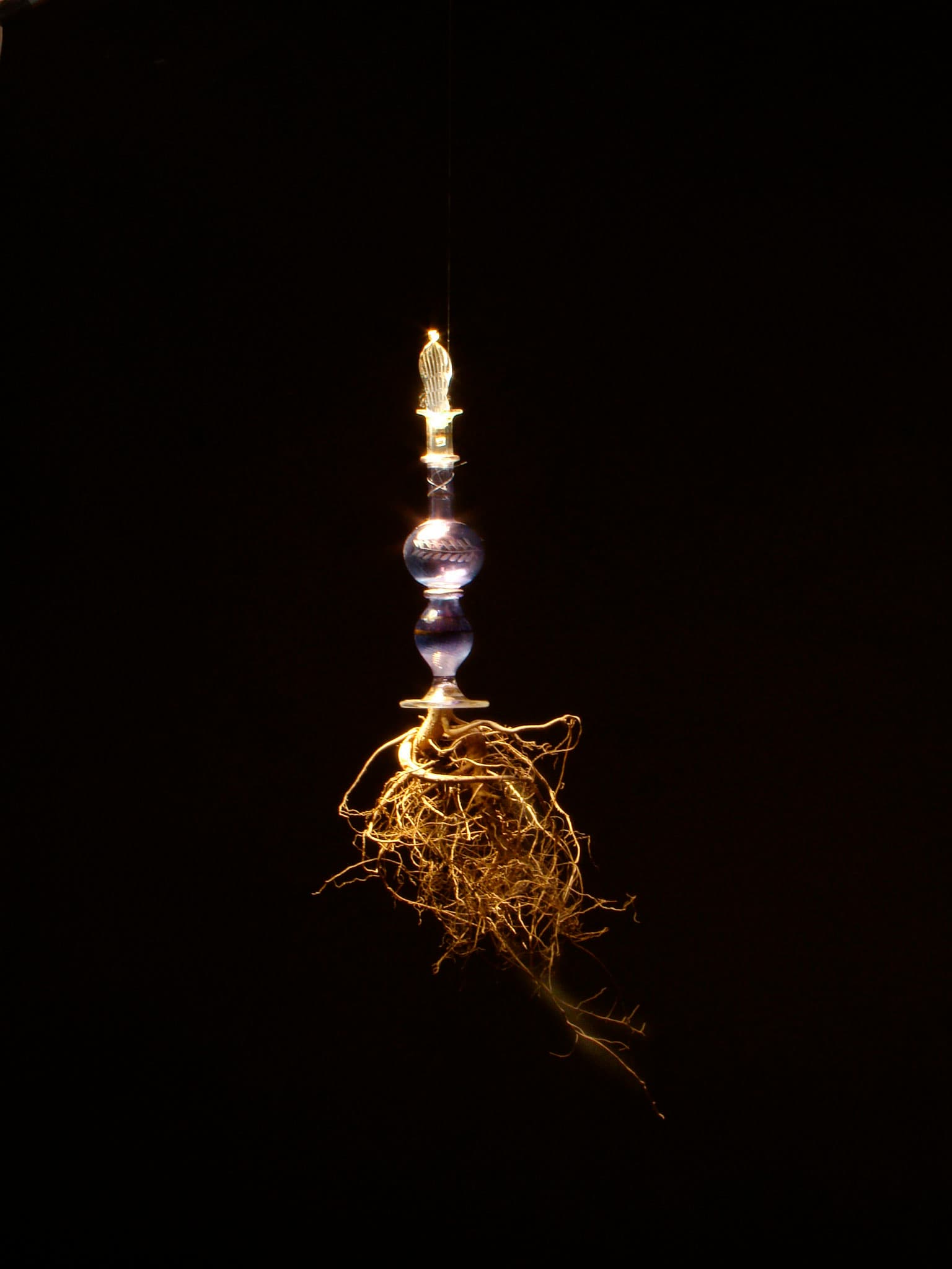El pensamiento perfumado by Pamen Pereira