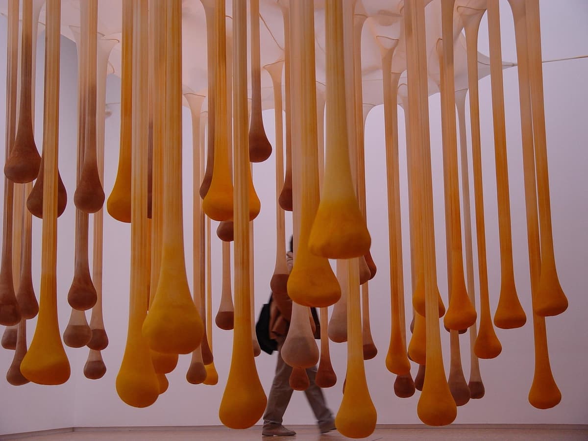 N/A by Ernesto Neto, Polyamide tulle, tube, and stocking, Styrofoam pellets, and sand