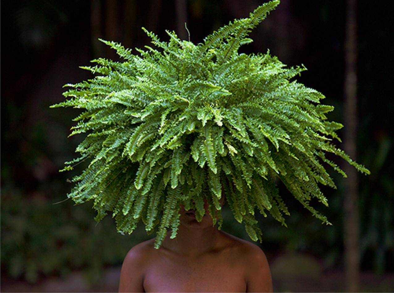 Habitacular by Raquel Paiewonsky, Photography